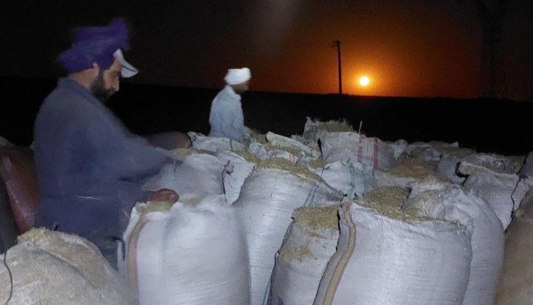 Ay ışığında çalışıyorlar günlük 500 TL kazanıyorlar