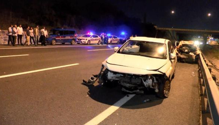 Başıboş 2 manda kazaya neden oldu: 1 ölü, 2 yaralı