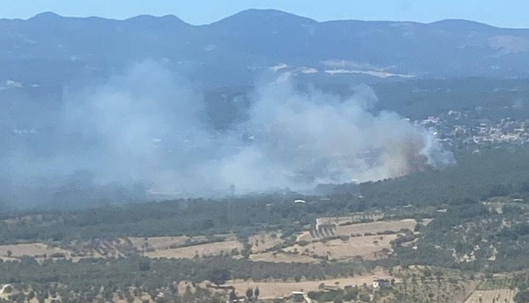 Bornova’da orman yangını