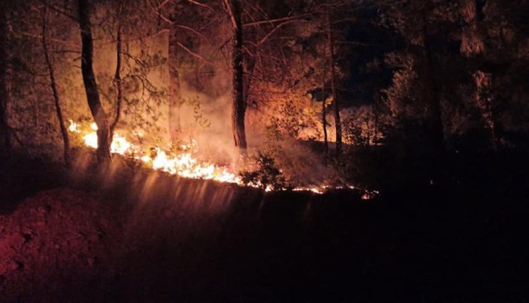 Adana'da 6 noktadaki orman yangınlarıyla ilgili bir kişi tutuklandı