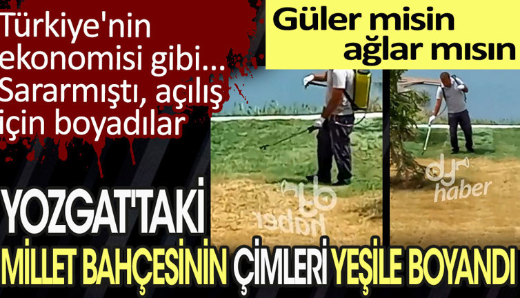 Açılış yapılacak diye millet bahçesinin sararmış çimlerini yeşile boyandı. Bu bir 'Güler misin ağlar mısın' haberidir