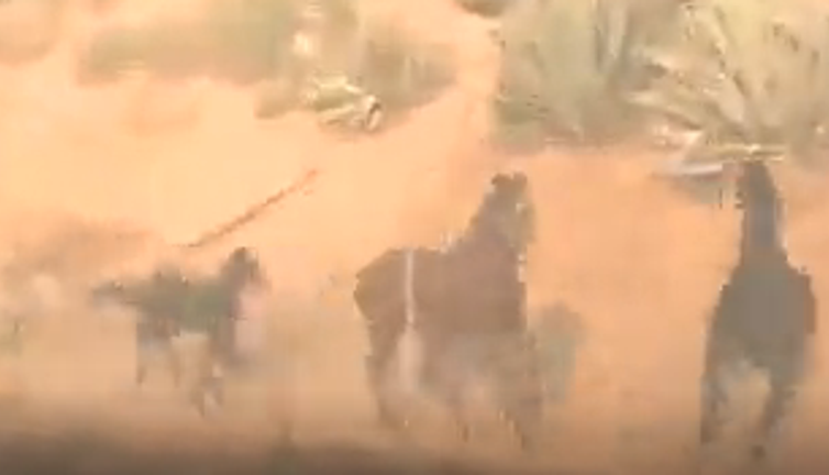 Ailesi yangının içinde olduğu için onları almaya giden at. Müthiş bir görüntü gerçekten inanılmaz