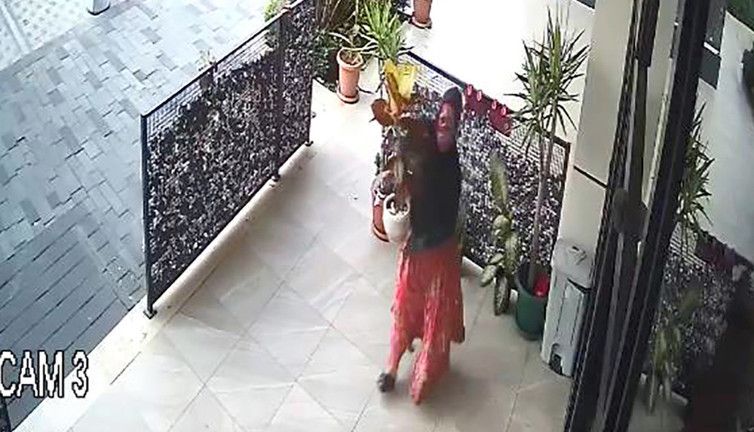 Pes dedirten hırsızlık! Saksıdaki çiçeği çaldı…