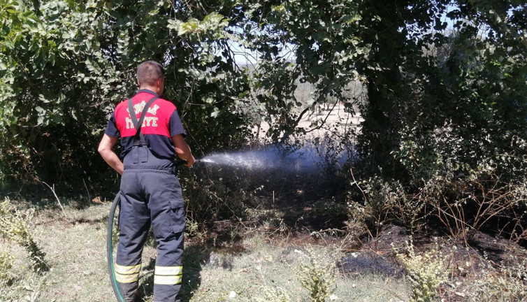 Muğla'da otluk alanda yangın çıktı (24 Temmuz 2022)