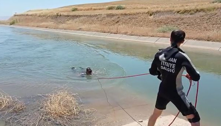 Kanala düşen kuzusu için suya atlayan çoban kayboldu