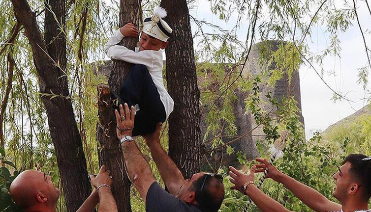 Sünnet sezonu açıldı ağaca tırmanma başladı. Büyükler zor ikna edip indirdi