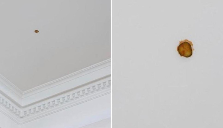 Tavana atılan çizburgerdeki turşu sanat eseri olarak sergileniyor