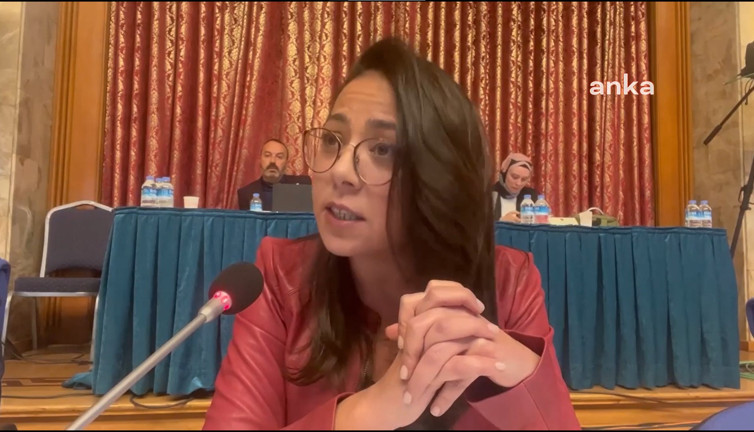 Milletvekilinin sorduğu bu soruya Bakan cevap veremedi