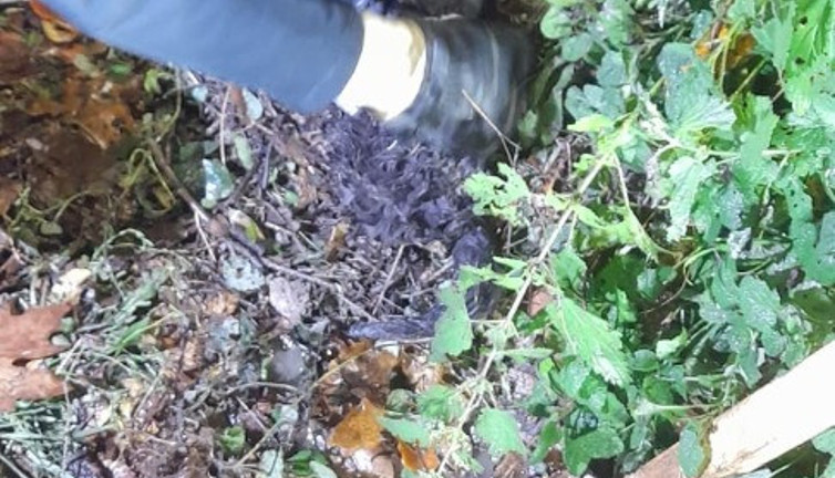 Tellere sıkışan kedi kurtarıldı