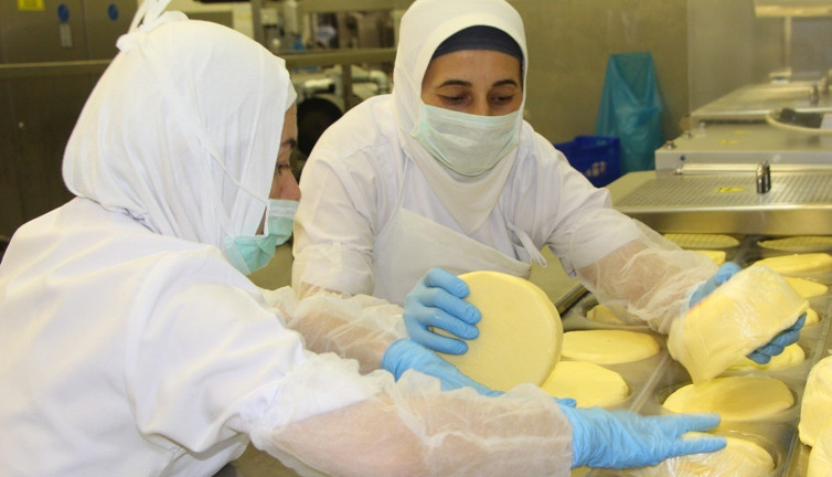 Kasım ayında fiyatı en fazla artan ürün belli oldu