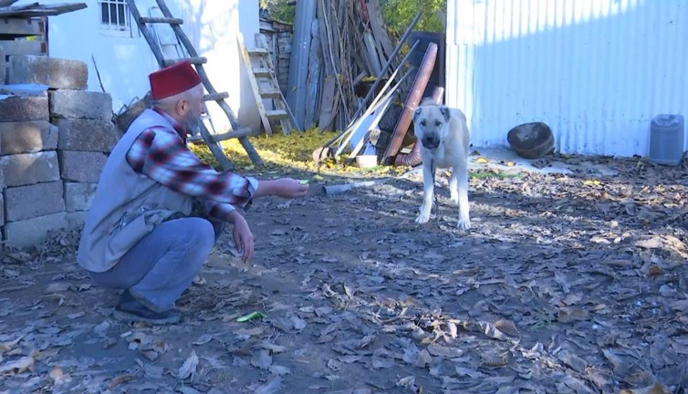 Kurtların kokulu rüyası vejeteryan çıktı