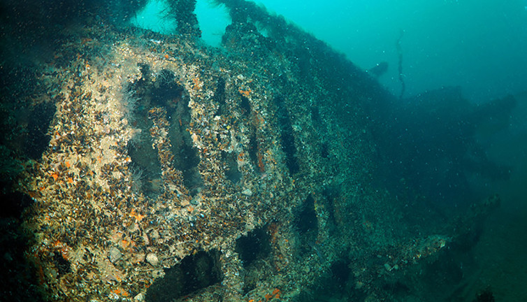 2. Dünya Savaşı’ndan kalma Nazi’nin batık denizaltıları ortaya çıktı! Türk dalgıçlar görüntüledi