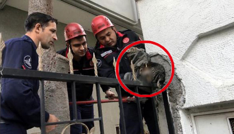 İtfaiyeden kedi kurtarma operasyonu