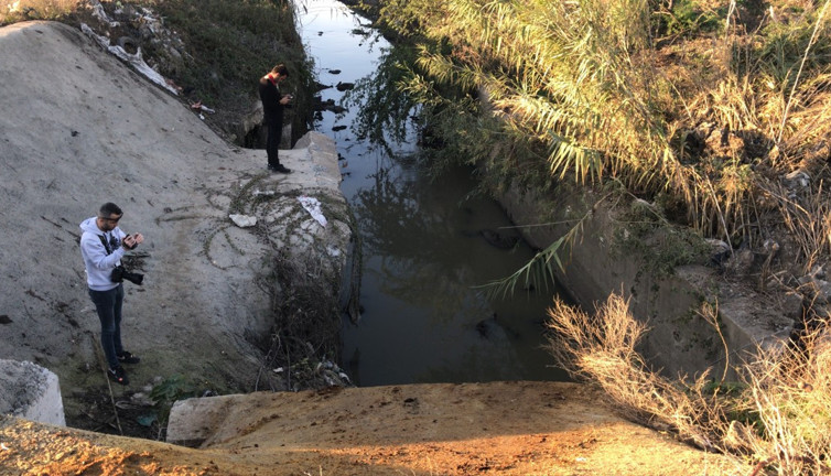 Sulama kanalında eşek kafası ve sakatatları çıktı