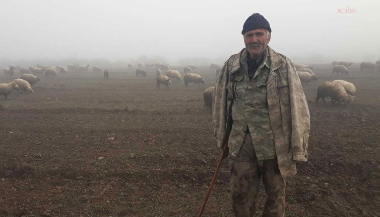 Vatandaş böyle seslendi: Sabah 5'te askeri diziyor önümüze Soylu neredesin