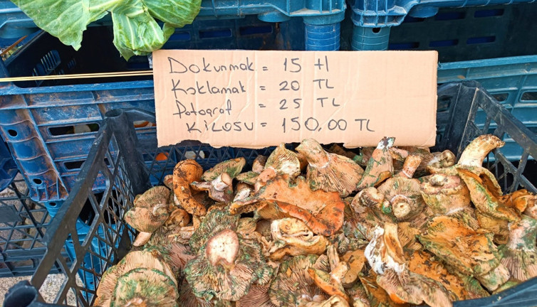 Dokunmak da koklamak da paralı oldu. Fiyatı etin kilosuna yaklaştı