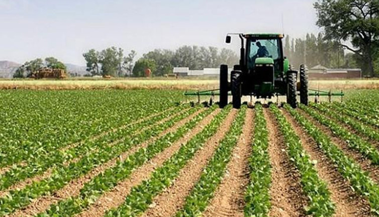 Tarımda enflasyon uçtu gidiyor.Fiyatlar yüzde 134 arttı
