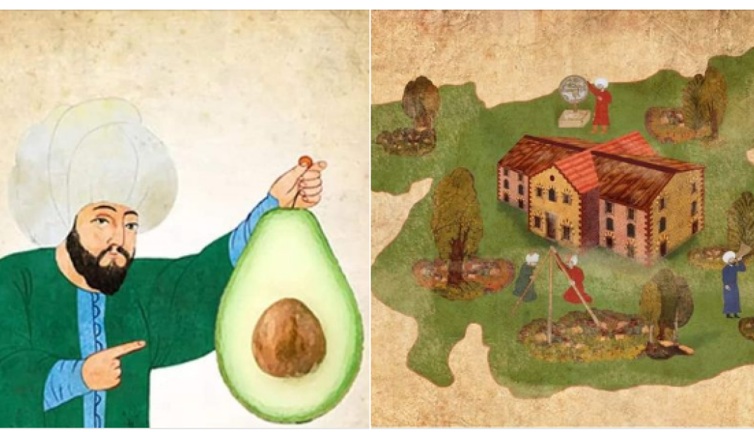 Osmanlı’da bir garip olaylar: Timsahla ağacın cimasından, İstanbul'da maymun katline