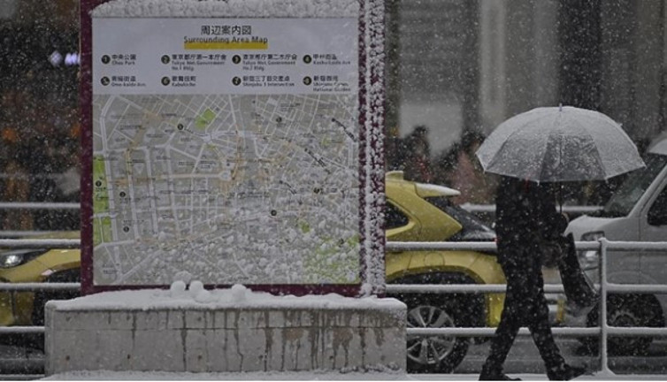 Japonya'da yoğun kar yağışı nedeniyle 17 kişi öldü