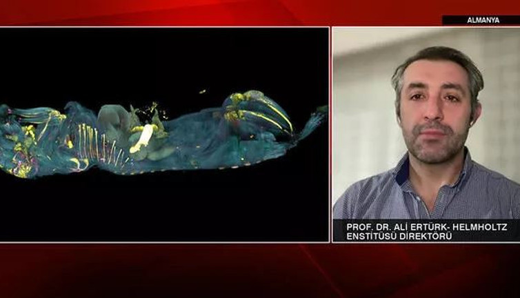 Türk bilim insanından çığır açacak yeni yöntem. Tedavisi bulunmayan hastalıklar tarihe karışabilir