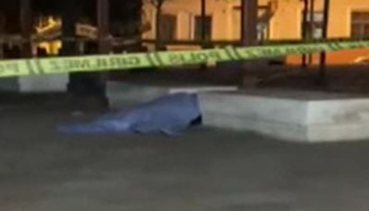 Bimekan şahıs parkta öldü