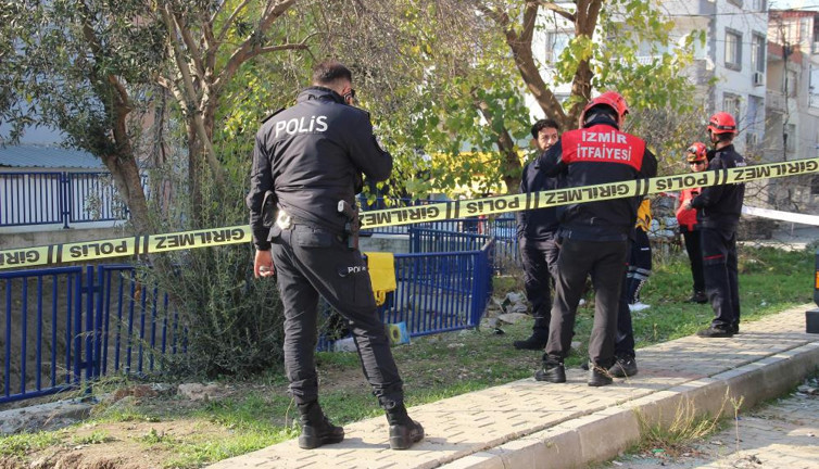 Zeytin toplarken canından oldu