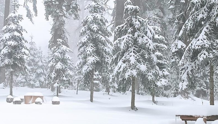 Düzce'de kar kalınlığı 25 santimetre