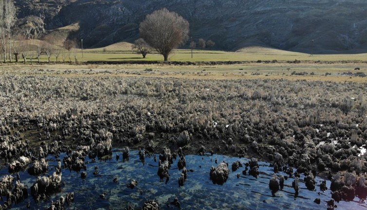 Dünyanın en büyük sodalı gölünde sular çekilince ortaya çıktı. Görenler büyüleniyor