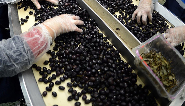 Marmarabirlik’ten 61 milyon liralık ödeme