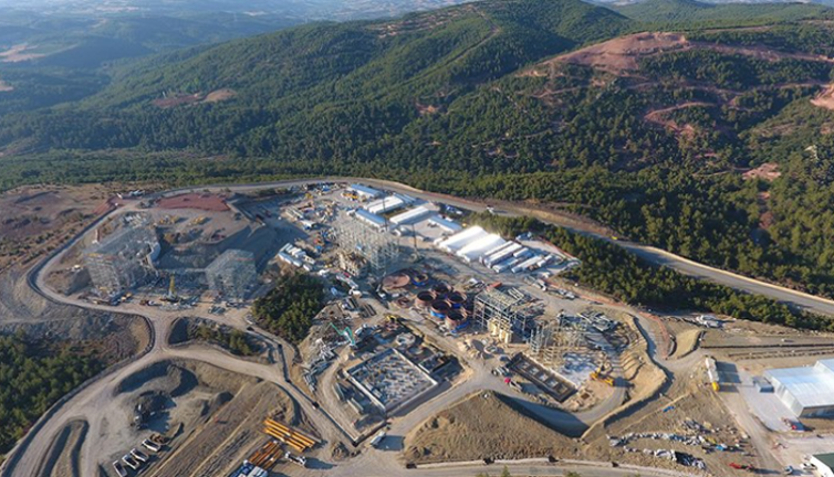 158 bin ağacın kesilmesine izin veren ÇED raporu yargıya taşındı. Altın madenlerine kurban edilecek