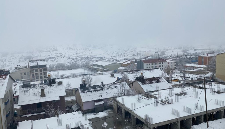 Hozat'ta kuduz karantinası