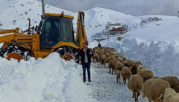 Yaylada 300 küçükbaş ile 3 gündür mahsur kaldılar