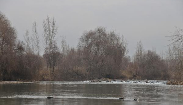 Bir nehir için daha alarm verildi: 3 balık türü yok olacak
