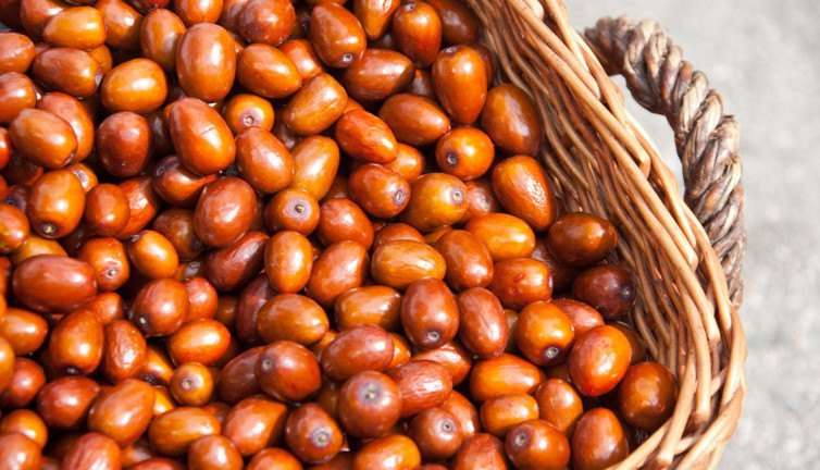 İğdenin faydaları neler? İğde neye iyi gelir?