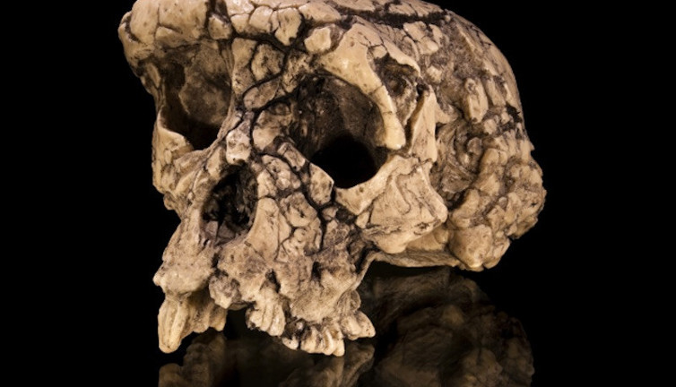 Yeni bir insan grubu keşfedildi: DNA analizleri bilim insanlarını şok etti