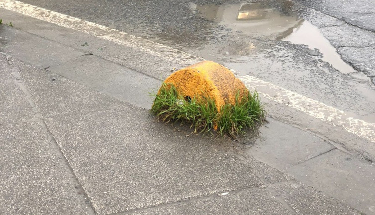 Eyüp'te yerde dev bir fıstıklı baklava. İnsanlar yiyemeyince hayal etmeye başladılar