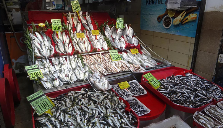 Padişahların vazgeçilmezi Lüferin kilosu görenleri şok etti