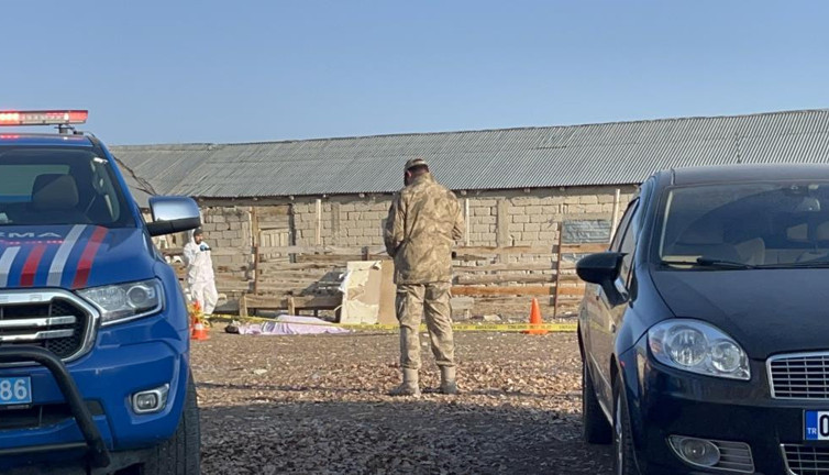 3 kişi kafalarından vurularak öldürdü