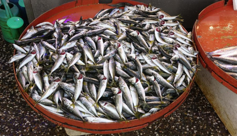 İstavrit fiyatıyla şaşırttı