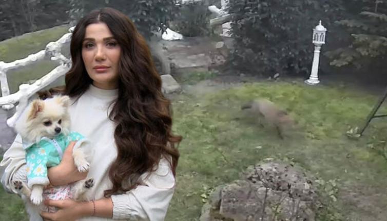 Şarkıcı Dilan'ın villasına tilki girdi. Tilkiyi bahçede gören Dilan eve kapandı