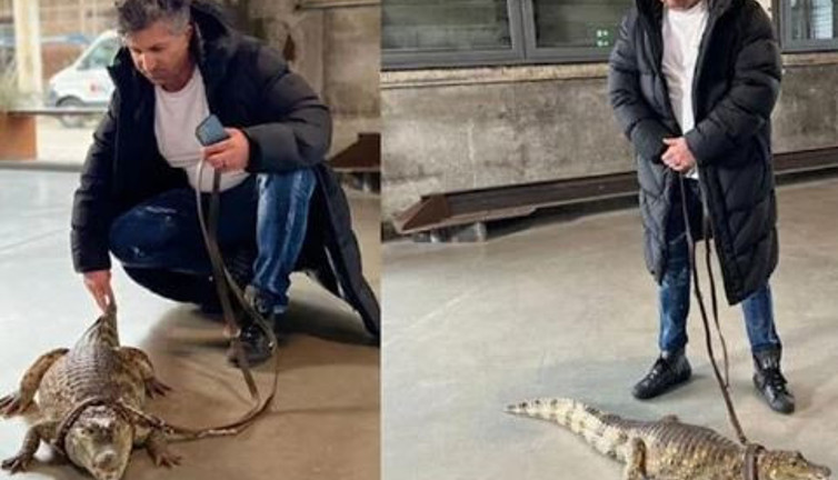 Almanya’nın konuştuğu Türk piyango milyarderi evcil hayvan olarak timsah aldı