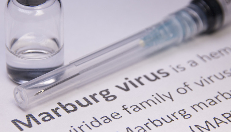 Margburg virüsü nedir? Margburg virüsü belirtileri neler?