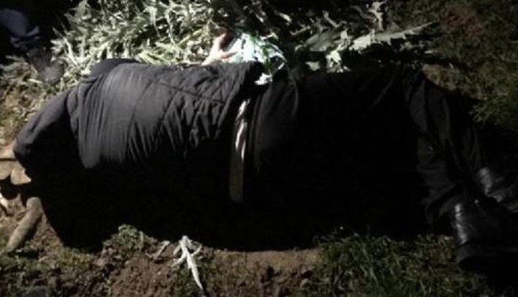 6 metreden düştü özür diledi