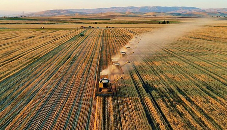 Birleşmiş Milletler Tarım Örgütü açıkladı: Çiftçiye 25 milyon dolar lazım