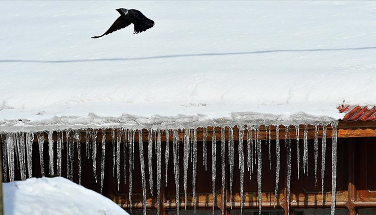 Ardahan'da termometreler eksi 25 dereceyi gösterdi