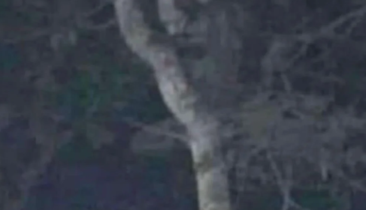 Ülke bu fotoğrafla çalkalanıyor. Bu aluş gibi görünüyor. Her şey mistik