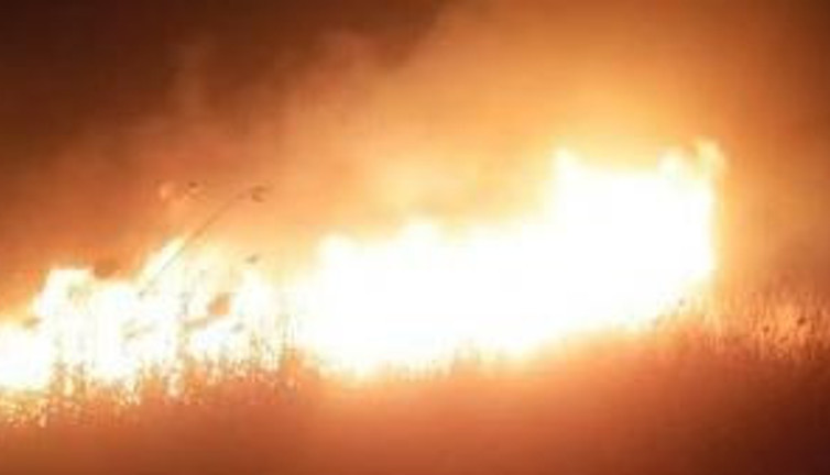 Gala Gölü Milli Parkı'nda yangın