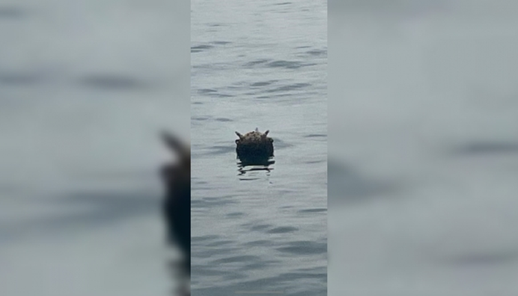 Karadeniz’de tespit edilen mayın kontrollü şekilde imha edildi