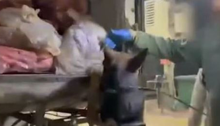 Van’da nefes kesen operasyon