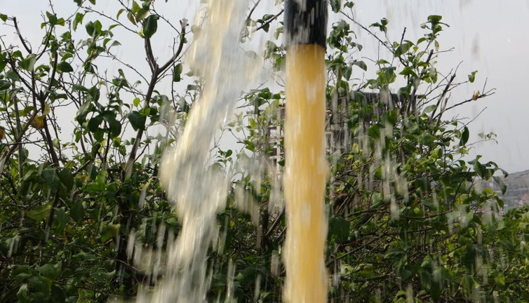 Gözlerine inanamadı. Çiftçi bahçesini sularken fark etti.